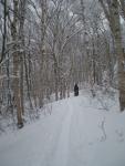 The logging road