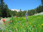 Lassen Peak