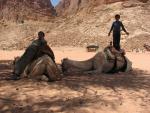 Camel Jockeys