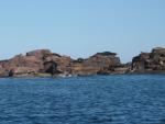 Sea Lion Colony