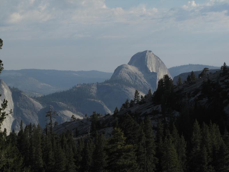 Half Dome from Olmstead Point