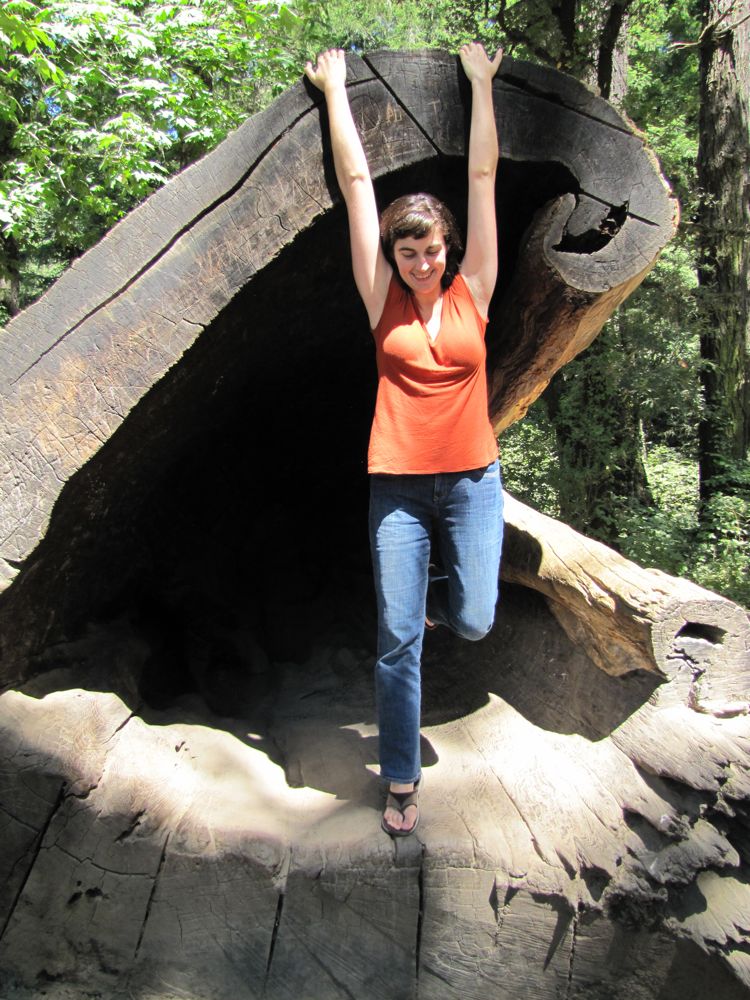 Ruth swinging inside a redwood