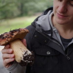 Mushroom Hunting Mushroom Hunting
