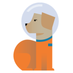 Launching Spacedog Launching Spacedog