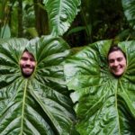 Puna Paradise Puna Paradise